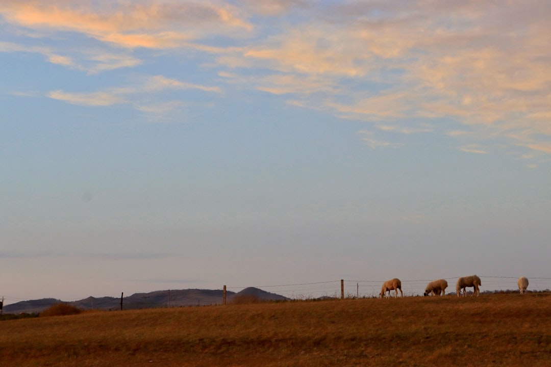 Embracing the Wild: A Journey into Outdoor Adventure